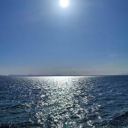 Apartamento Cerca De La Playa La Mata 拉马他 客房 照片